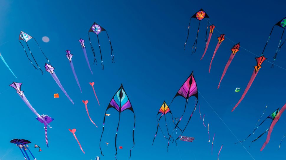 阿德莱德国际风筝节，澳大利亚 (© Andrey Moisseyev/Alamy)