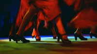 弗拉门戈舞蹈表演，西班牙安达卢西亚 (© Michelle Chaplow/Alamy)