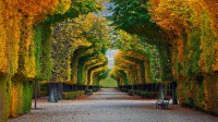 【今日立秋】美泉宫花园的秋日景色， 奥地利维也纳 (© badahos/Shutterstock)