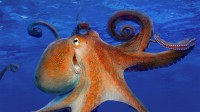 无法真正微笑的章鱼 (© blickwinkel/Alamy)