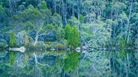 费尔德山国家公园里的达布森湖，塔斯马尼亚岛 (© Tom Mackie/plainpicture)