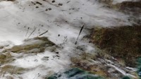 美国南部上空云层中出现的瀑布状空洞图像，美国国家航空航天局Terra卫星拍摄 (© NASA)