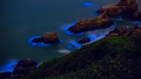 台湾妈祖群岛沿岸的发光藻类 (© Wan Ru Chen/Getty Images)