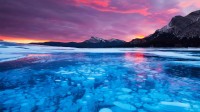 亚伯拉罕湖中的冰泡，加拿大艾伯塔省 (© robertharding/Alamy)