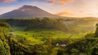 以阿贡火山为背景Sidemen山谷中的稻田，印度尼西亚巴厘岛 (© Jon Arnold/Danita Delimont)