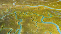鸟瞰Mockhorn岛野生动植物管理区沼泽地内的潮汐通道，弗吉尼亚 (© Shane Gross/Minden Pictures)