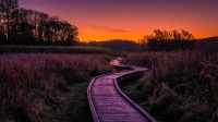 天堂之路，新泽西州瓦瓦安达州立公园 (© Leembe/Getty Images)
