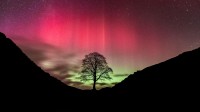 哈德良长城上空的北极光，英格兰诺森伯兰郡 (© Guy Edwardes/NPL/Minden Pictures)