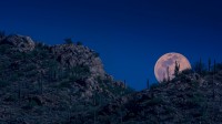 月亮升起，图森，亚利桑那州，美国 (© Tim Murphy/Shutterstock)