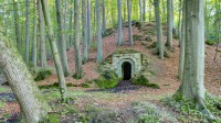 巴伐利亚森林酒窖，德国 (© Andreas_Zerndl/Getty Images)