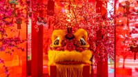 中国舞狮，大年初一 (© SENEZ/Getty Images)