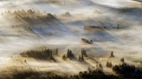 考伊琴山谷的薄雾，温哥华岛，加拿大不列颠哥伦比亚省 (© Kevin Oke/Alamy)