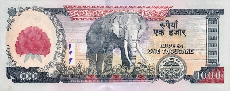 尼泊尔货币1000卢比