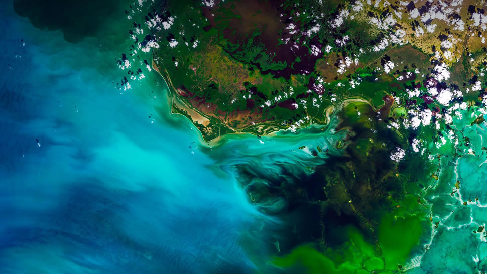 大沼泽地国家公园的卫星视图，佛罗里达州 (© Satellite Earth Art/Aurora Photos)