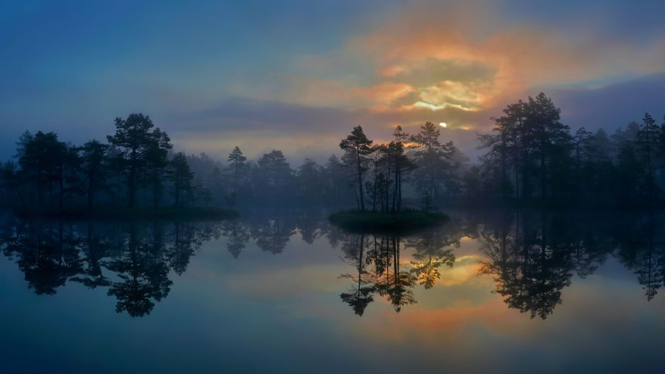 西曼兰省的一片湿地，瑞典 (© Hans Strand/Getty Images)