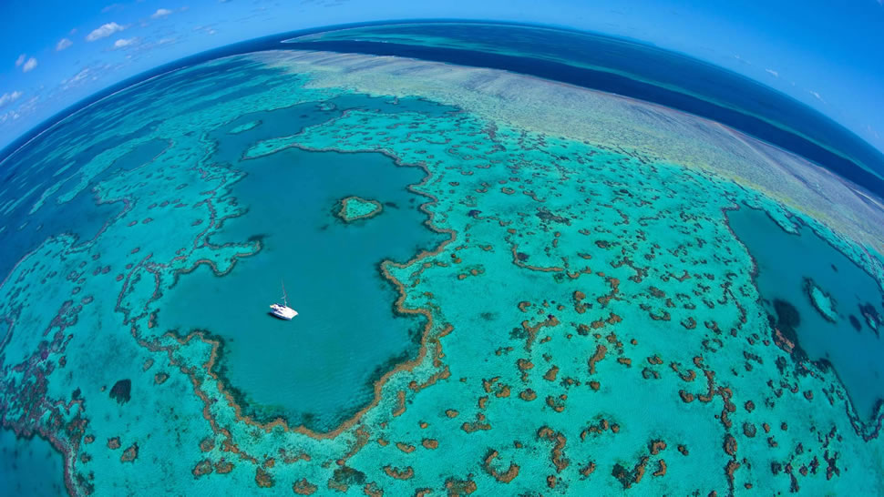 大堡礁，澳大利亚昆士兰州 (© Dick Sweeney/Gallery Stock)
