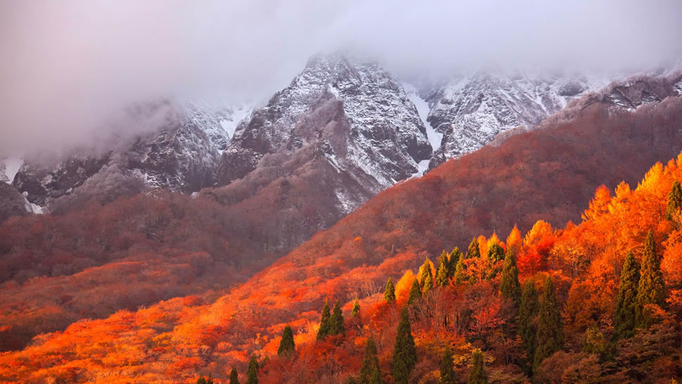 大山，日本神奈川县 (© Katsuhiro Yamanashi/Getty Images)