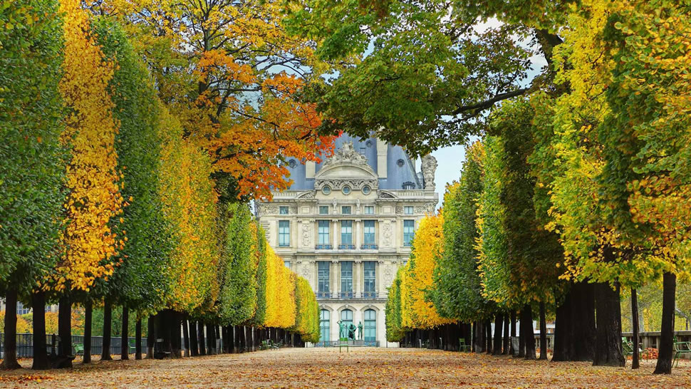 秋日里通往卢浮宫的杜乐丽花园，法国巴黎 (© Brian A. Jackson/Getty Images Plus)