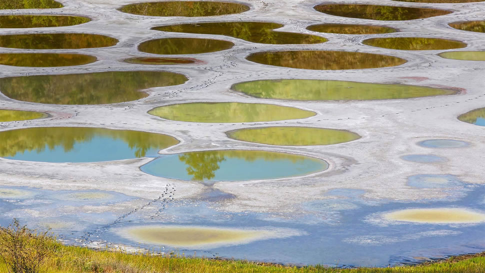 奥卡诺根的斑点湖，加拿大不列颠哥伦比亚省 (© Galyna Andrushko/Shutterstock)