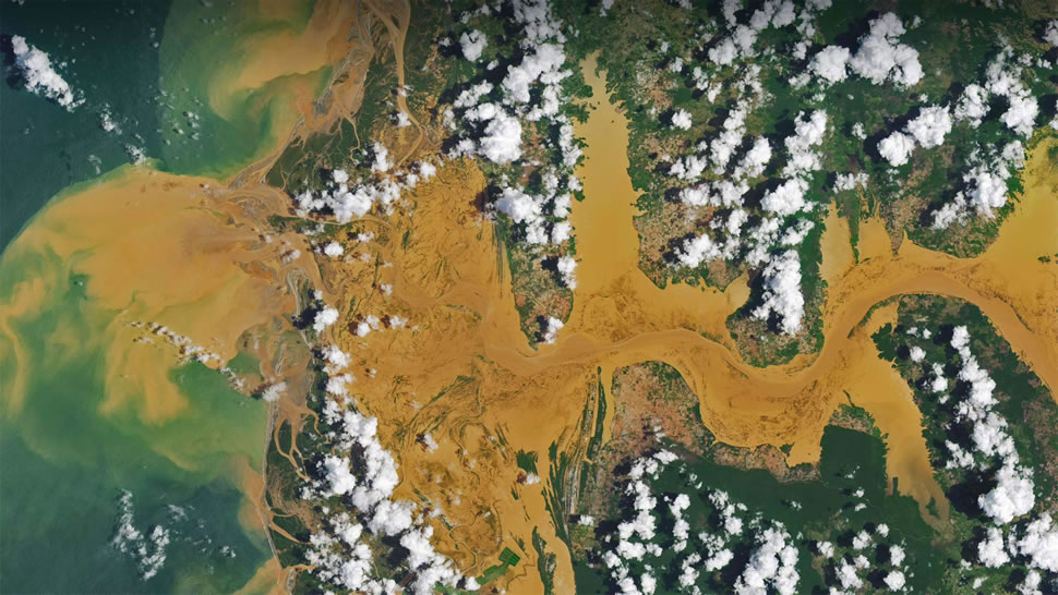 马尼亚河的卫星图像，马达加斯加 (© NASA Earth Observatory image by Joshua Stevens, using Landsat data from the US Geological Survey)
