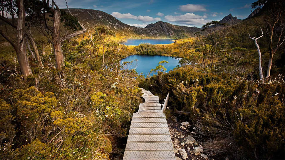 摇篮山-圣克莱尔湖国家公园，澳大利亚塔斯马尼亚州 (© Paparwin Tanupatarachai/Getty Images)