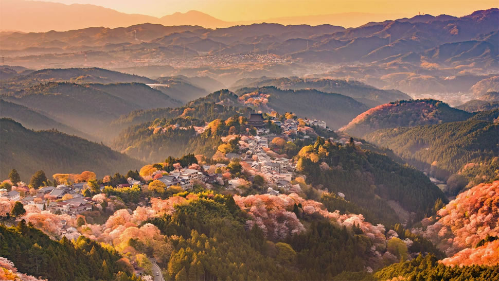 吉野山，日本奈良 (© Sean Pavone/iStock/Getty Images Plus)
