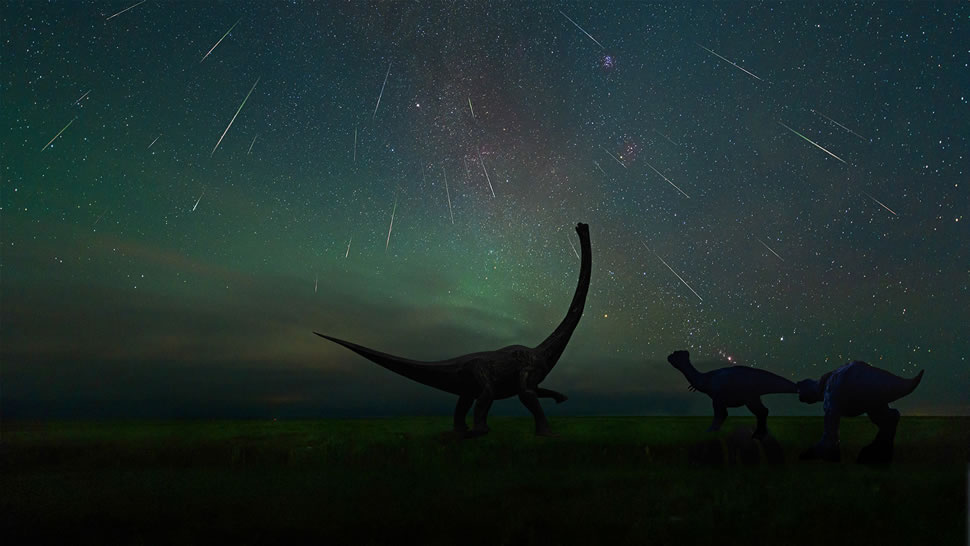 拍摄于二连浩特恐龙博物馆中的英仙座流星雨，中国内蒙古 (© bjdlzx/Getty Images)