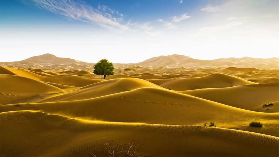 位于阿曼和迪拜酋长国边界的鲁卜哈利沙漠 (© Daniel Schoenen/Offset by Shutterstock)