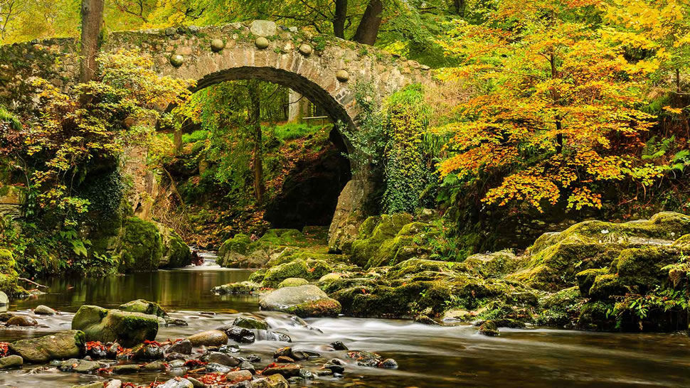 托利莫尔森林公园的弗利桥，英国北爱尔兰 (© Adrian McGlynn/Alamy)