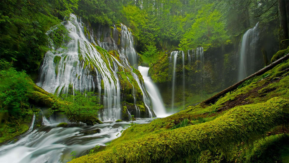 春天的豹溪瀑布，吉福德·平肖国家森林，美国华盛顿州 (© Stephen Matera/Tandem Stills + Motion)