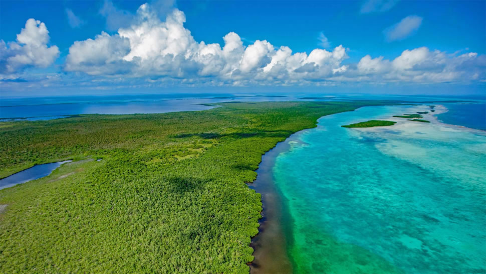 伯利兹堡礁保护区, 伯利兹 (© Tom Till/Alamy)