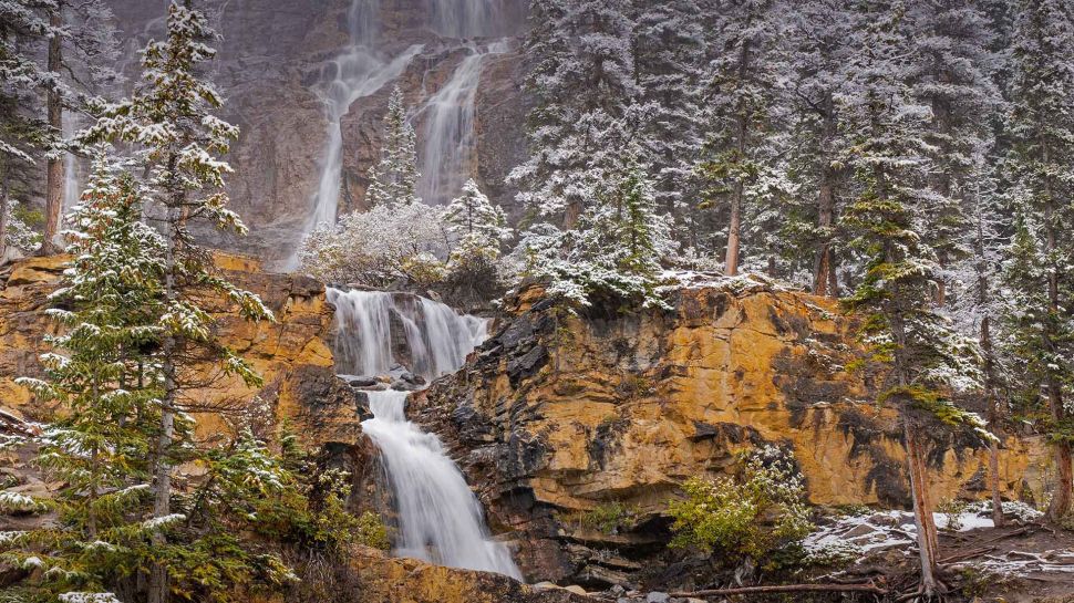 贾斯珀国家公园纠结溪瀑布，阿尔伯塔省，加拿大 (© Jeff Foott/Minden Pictures)