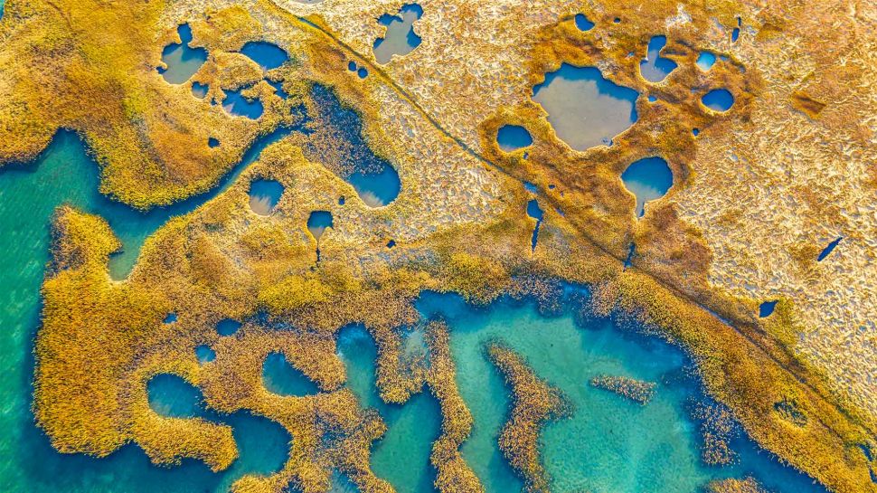 马萨诸塞州格洛斯特的沼泽地 (© Thomas H. Mitchell/Getty Images)