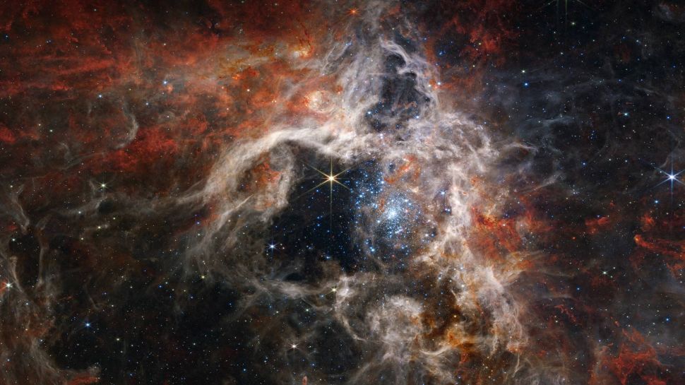 狼蛛星云中形成的年轻恒星，詹姆斯·韦布空间望远镜 (© NASA, ESA, CSA, STScI, Webb ERO Production Team)