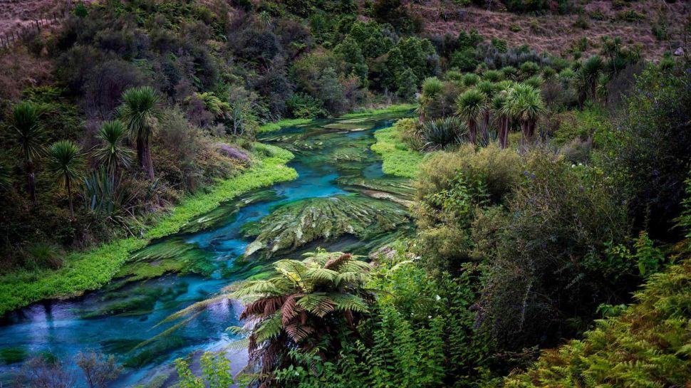 蓝泉，蒂怀霍步道，新西兰 (© Ian Beattie/Alamy Stock Photo)