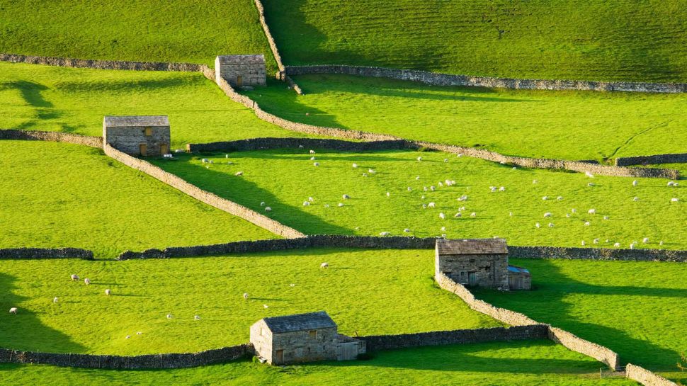 冈纳塞德，斯韦尔代尔，约克郡谷地国家公园，英格兰 (© Derek Croucher/Alamy Stock Photo)