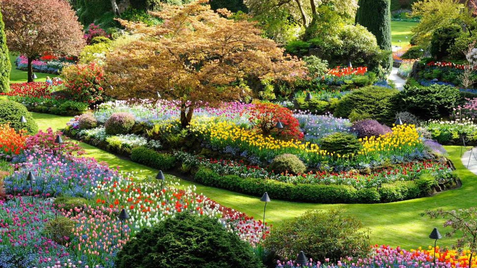 布伦特伍德湾的布查特花园，不列颠哥伦比亚省，加拿大 (© 2009fotofriends/Shutterstock)
