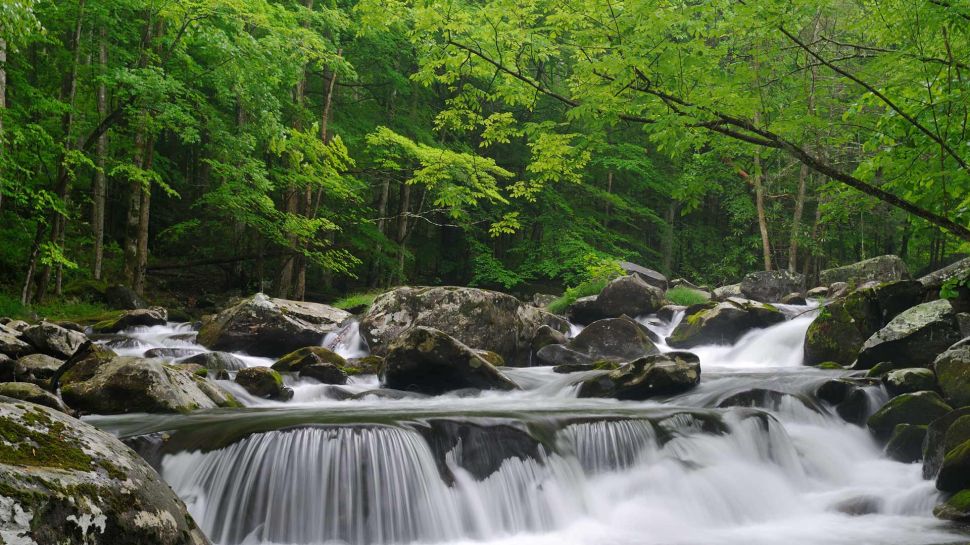 小鸽子河，大雾山国家公园，田纳西州, 美国 (© GreenStock/Getty Images)