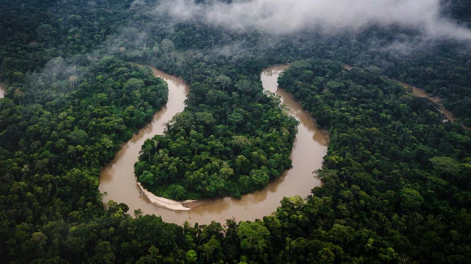 亚马逊雨林，厄瓜多尔 (© Mark Fox/Getty Images)