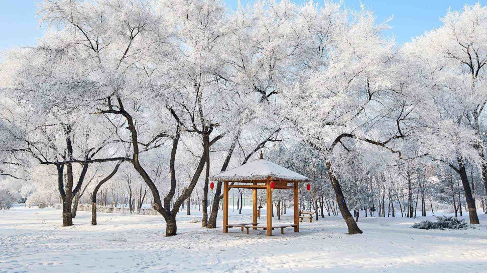 美丽的雾凇景色，大庆市，黑龙江省，中国 (© Dashu Xinganling/shutterstock)
