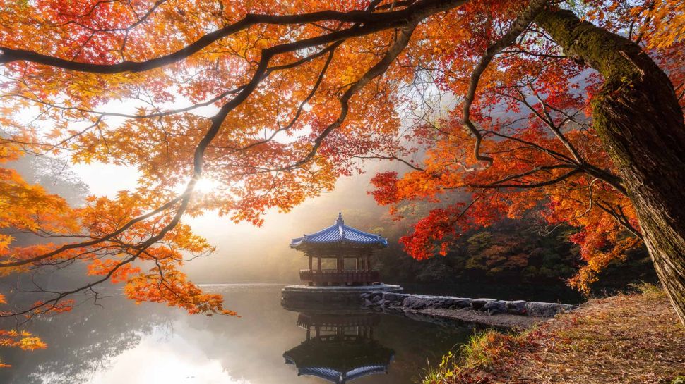 内藏山国立公园的秋景，韩国 (© Twenty47studio/Getty Images)