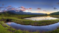 美国夏威夷州，考爱岛的哈纳雷山谷 (© Ian Philip Miller/Getty Images)