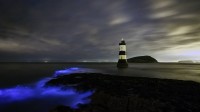 Trwyn杜灯塔附近的发光浮游生物，威尔士安格尔西岛 (© REX/Shutterstock)