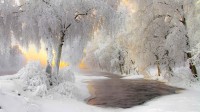 库赫莫附近的冬日美景，芬兰 (© Ville Heikkinen/iStock/Getty Images Plus)