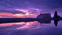 奥林匹克国家公园的红宝石海滩， 美国华盛顿州 (© Jason Savage/Tandem Stills + Motion)
