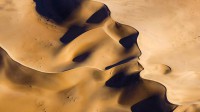 纳米布沙漠，纳米比亚 (© Valerio Leone/Solent News/REX/Shutterstock)