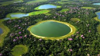 潘塔纳尔湿地，巴西 (© Lucas Leuzinger/Shutterstock)