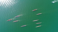 【今日端午节】参加襄阳龙舟大赛的12只龙舟，中国湖北省襄阳市（© VCG/Getty Images）