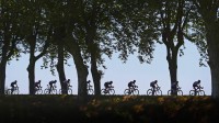 2016年环法自行车赛中骑在绿树成荫的道路上的选手 (© Michael Steele/Getty Images Sport)