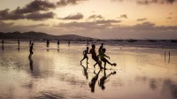一群男孩儿在日落时分的沙滩上踢足球， 巴西福塔雷萨 (© National Geographic/Offset/Shutterstock)